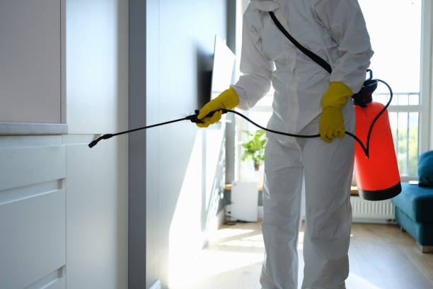 Best Kitchen Mold Remediation in Sauk Vlage, IL